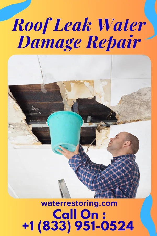 Roof Leak Water Damage Repair in Keystone, SD