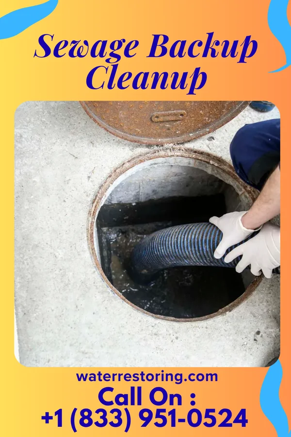 Sewage Backup Cleanup in Keystone, SD