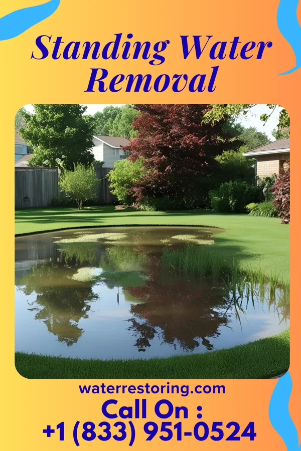 Standing Water Removal in Keystone, SD